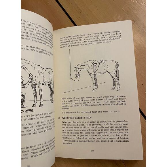 VTG Manual on Horsemanship for youth groups. Handbooks. By Harry Disston. PB - Picture 5 of 6
